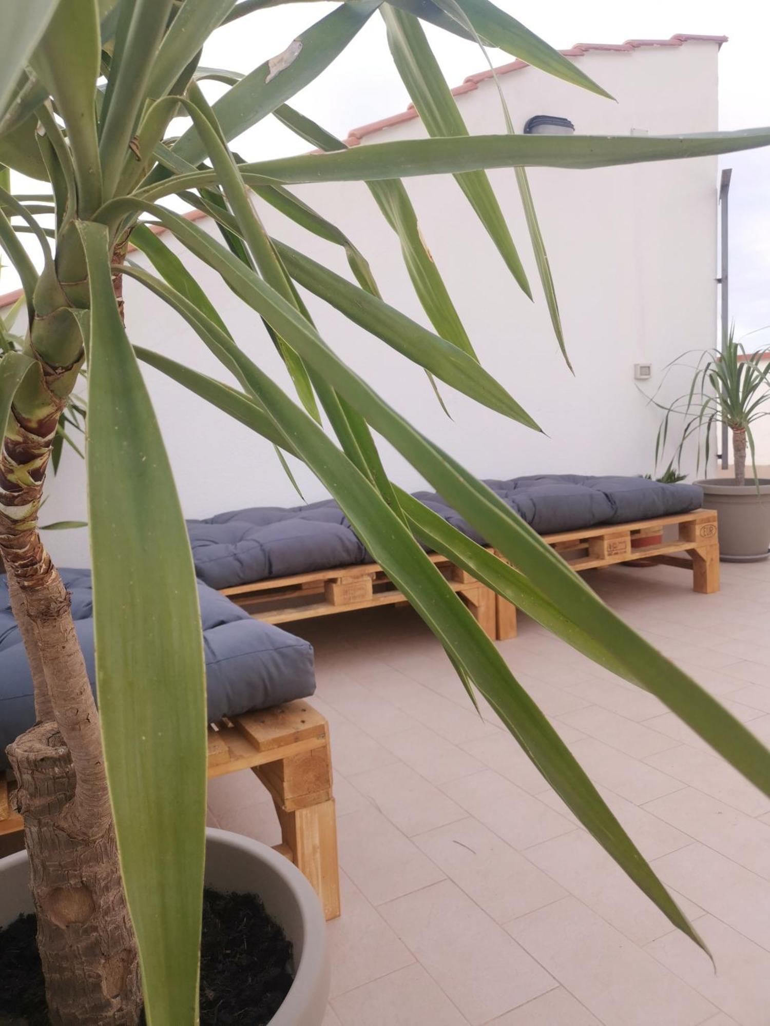 פלרמו Ovidio Home מראה חיצוני תמונה