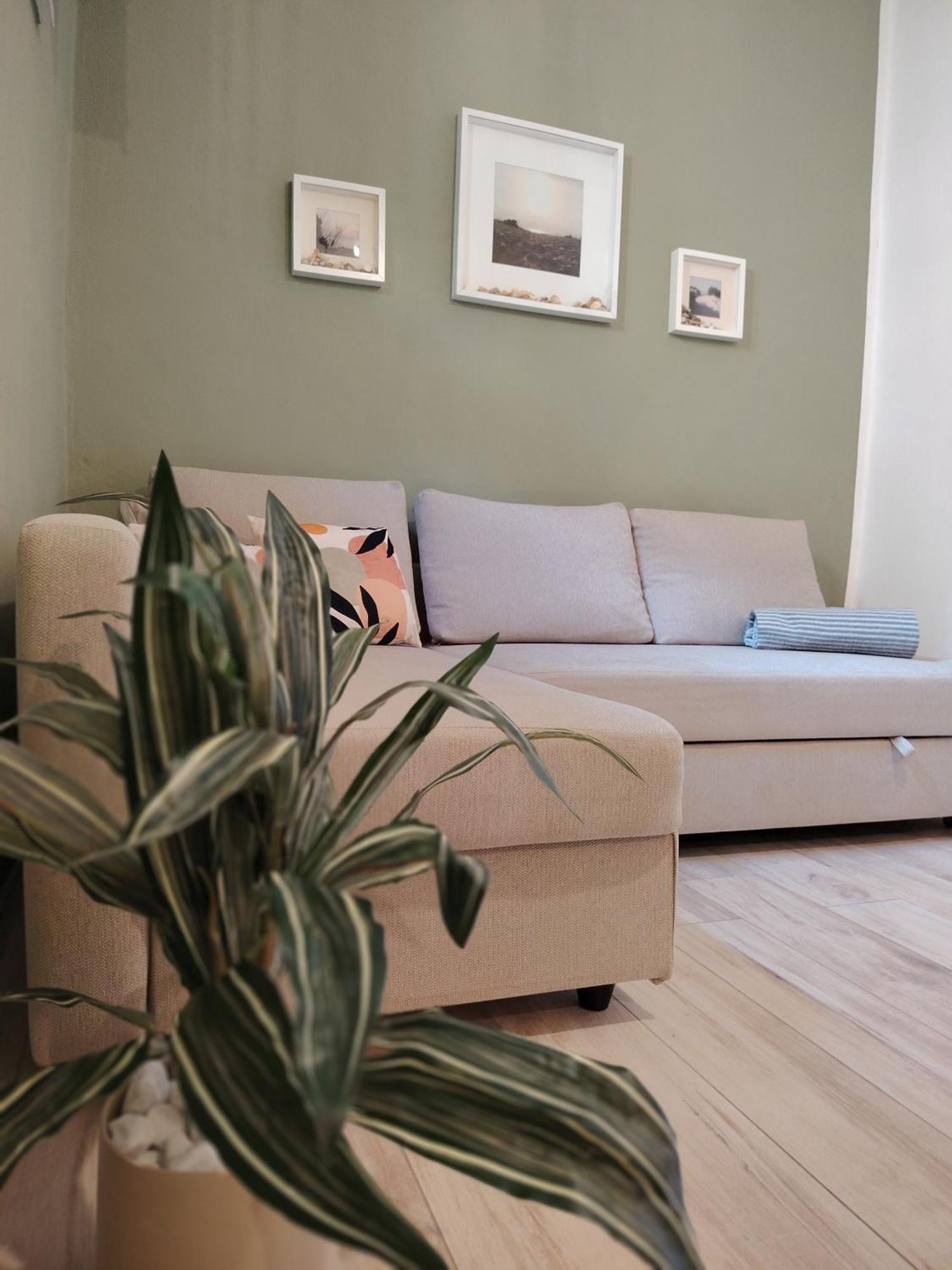 פלרמו Ovidio Home מראה חיצוני תמונה